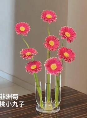 弯管试管玻璃花瓶小口径水培鲜花器简约艺术客厅摆件插花器高级感