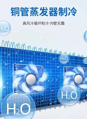 驰雪超大容量LED疫苗品柜2-8℃疫苗可移动品冷藏柜恒温精准