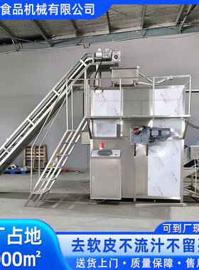 番茄西红柿蒸汽去皮机黄桃葡萄头果蔬深加工预处理土豆脱皮机