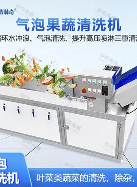 蒲公英气泡清洗机粽叶鼓泡翻浪机水果蔬菜花生清洗洗泥机