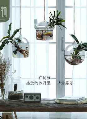 水培植物鱼缸一体创意小绿萝壁挂绿植式玻璃瓶墙吊挂吊瓶悬挂花瓶