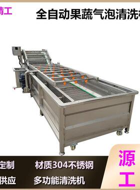 商用果蔬气泡清洗机全自动大型连续叶类洗菜机包装袋清洗机设备