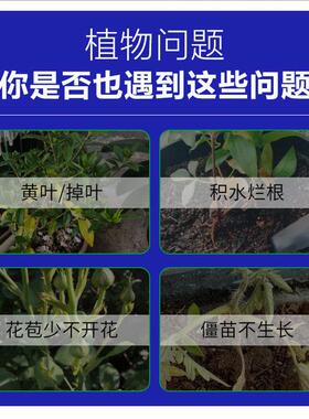 艾尚棵植物再生剂花卉通用型浓缩营养液绿植水培多肉盆栽水溶肥