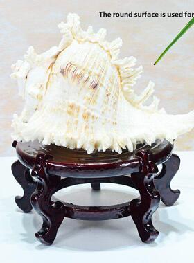 高大的木制底座支架海螺花瓶花盆底部坐石香炉鱼缸木制托盘架装饰
