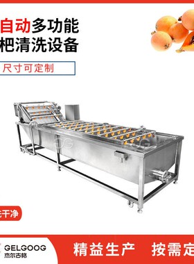 生气 泡式洗琵杰尔古格水果机器食品琶加工厂洗果选果产线 琵琶清