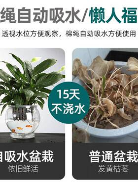 【全国包邮】透明塑料花金盆水黄葛敞囗形培东瓜花瓶鱼缸简约桌面
