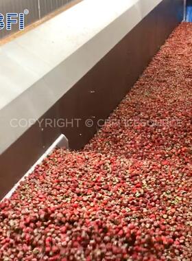 结1吨/小时流单态化速冻机品IQF体快速冻机适用358于果蔬虾仁食水