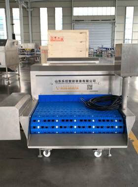 商用辊刷带鱼去鳞机 冰冻鲜带鱼去鳞清洗一体机 黄花鱼快速去鳞设