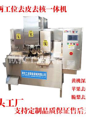 水果去核设备 全自动去核加工生产线 自动上料脆梨工业削皮去核机