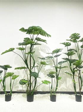 背现货仿植真物龟竹盆栽 真树室AL674321内外橱窗造景装仿饰摆件