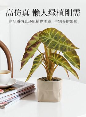 仿真海芋仿真盆裁办公室客厅桌面装饰品室内盆景摆件仿生假花绿植