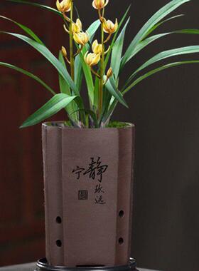 四方高款紫砂兰花蝴蝶兰君子兰透气陶瓷兰草盆多肉花盆专用带托盘