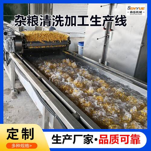 全自动大米清洗机谷物清洗机洗米机洗豆机高粱玉米粒气泡清洗机 - 图1