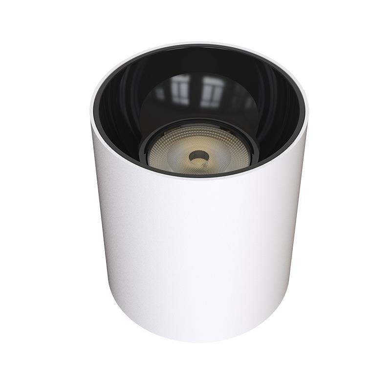 LEDM series round waterproof surface mounted downlight 30W outdoor indoor 4001M spotlight waterproof downlight