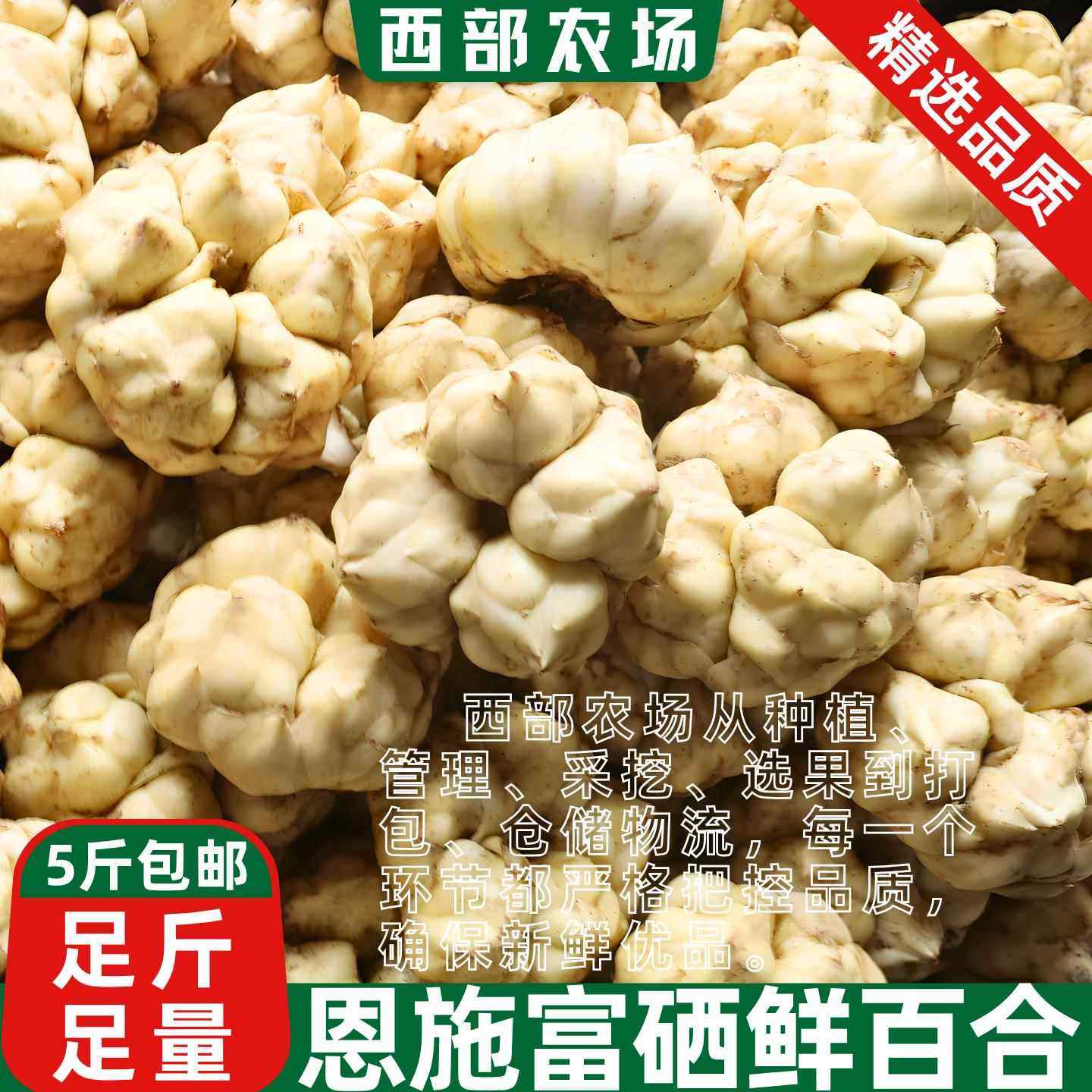 百合新鲜食用湖北恩施特产2025正宗富硒非兰州龙山牙宜兴蔬菜包邮,淘宝优惠券,粉丝福利购,淘宝优惠卷