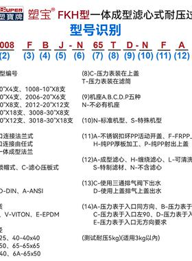 塑FKH型一体成型滤心式过滤器耐压过滤器水处理净化‌过滤设备