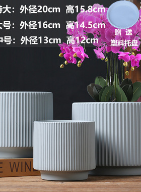 蝴蝶兰亚马逊批发直销陶瓷花瓶
