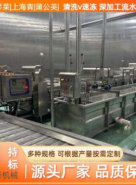 流水式净菜加工全套设备 芹菜土豆气泡清洗机 豌豆毛豆杀青设备