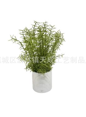 新款尤加利人造盆栽北欧风家居桌面迷迭香仿真盆景摆设