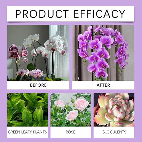 MoonSpry Orchid Plant Growth Enhancer - Nutrient Solution Sp - 图1