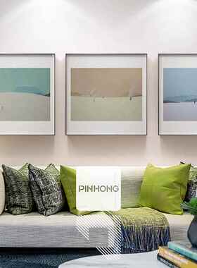 网红发厅客沙背属景有装现饰画代轻奢金框性三联抽象个画写实