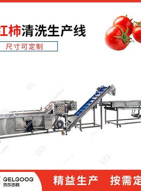 杰尔古格 西红柿清洗风干生产线 番茄自动清洗机械 一机多用
