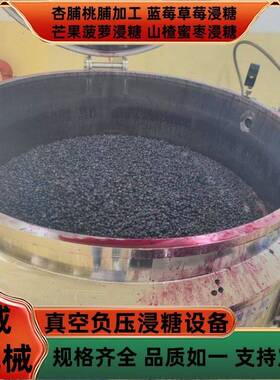山楂蜜枣蜜饯浸糖加工流水线芒果菠萝果脯浸糖设备五彩蜜豆浸糖机