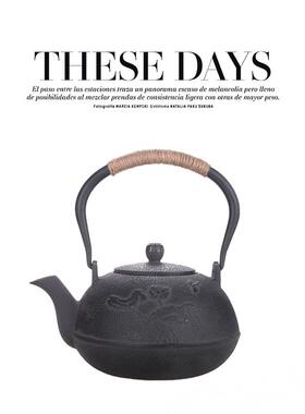 售楼处博古架软装铁锅摆件中式样板房手工铸铁茶壶生铁吊梁壶