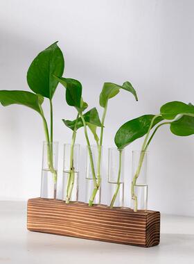 水瓶培花管水养绿植插花植物容器简约木架TIS试摆件面装饰玻璃花