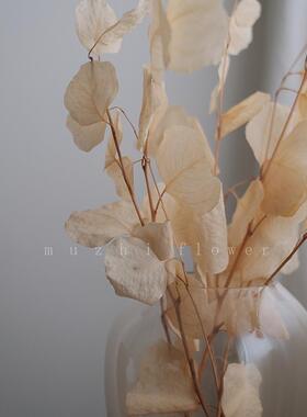 干花花束 客厅摆设ins天然真花高级玻璃花瓶轻奢摆件装饰品永生花