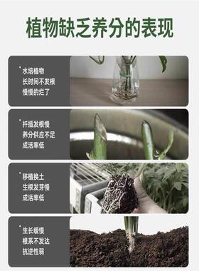 养花水肥通用营养液生根液多肉爆根王快速生根壮苗剂多肉植物专用