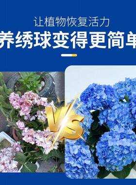 绣球调蓝剂无尽夏蓝色调色剂硫酸铝绣球花专用肥料变蓝营养缓释肥