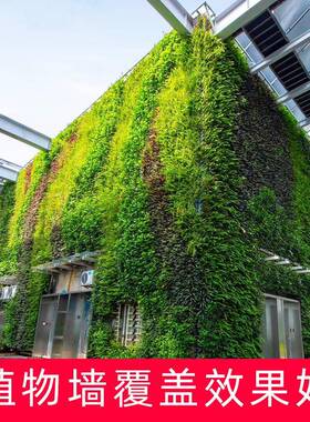 室外园林垂直绿化种植盒1平米28个植物墙花盆容器挂墙式立体花盆