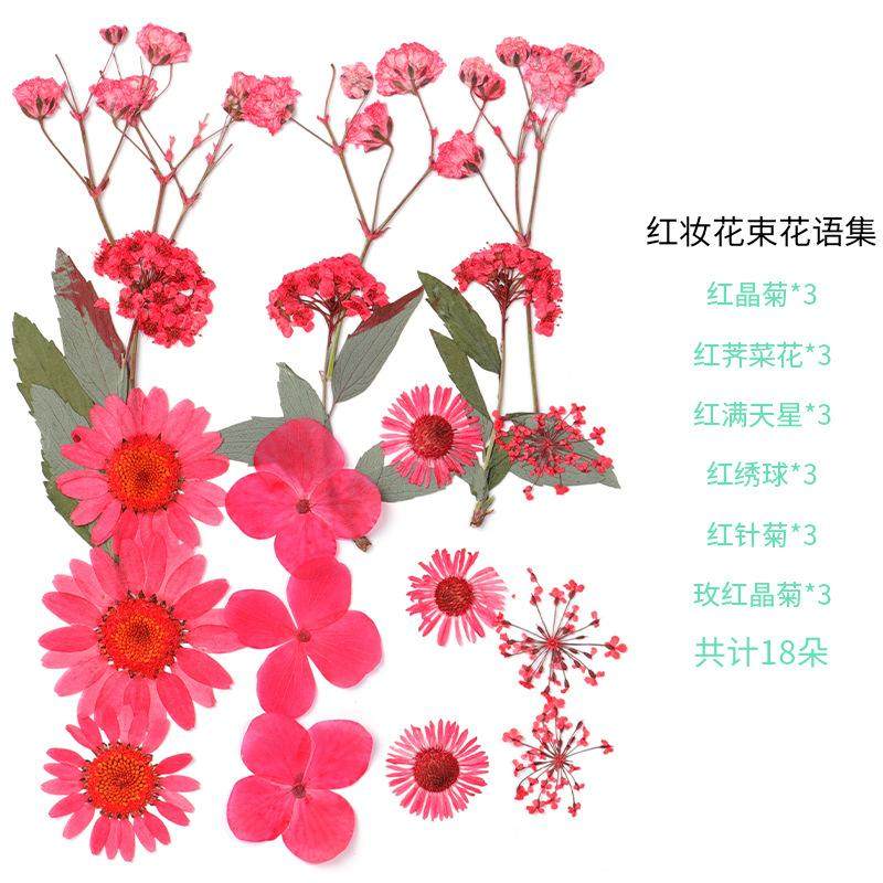 树叶粘贴画枫叶幼儿园标本手工diy梧桐叶银杏叶压花植物书签叶子,淘宝优惠券,粉丝福利购,淘宝优惠卷