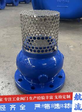DI德标底阀水泵吸水底阀H42X消声式升降底阀