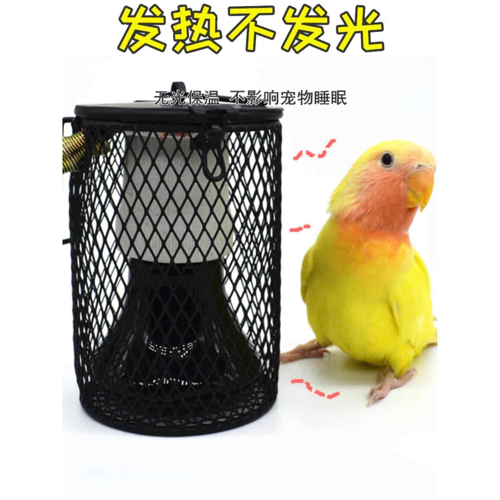 鹦鹉暖灯孵化器加热灯密集袋鼠爬行动物供应虎皮鹦鹉鸟笼加热器,淘宝优惠券,粉丝福利购,淘宝优惠卷