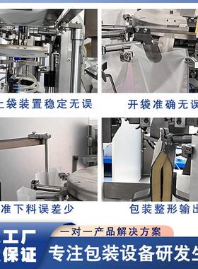 蜜饯果脯给袋式包装机话梅西梅全自动称重食品分装机水果冻干包装