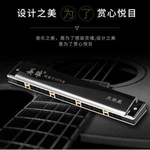 上海英雄口琴高级成人准专业24孔复音c调自学演奏口风琴男女乐器