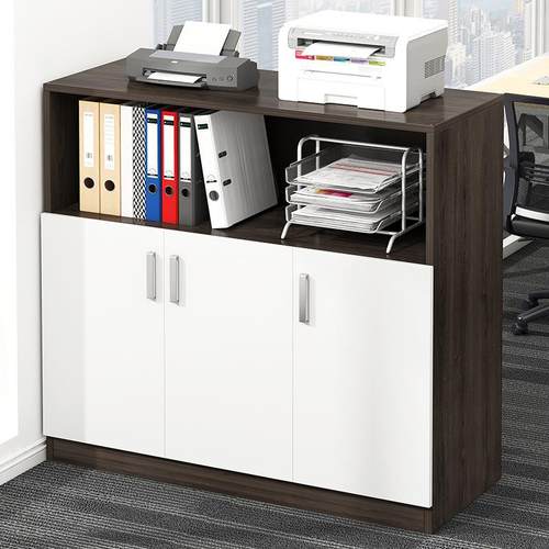 办公室件柜档案断资料柜易收纳置物柜文多功能储物柜木简BG0027质 - 图1