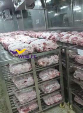 冻肉海鲜快速解冻设备 冻品保鲜解冻机抑制细菌  厂家直销