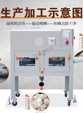 通过水压方式去除多种鱼类鱼鳞，去鱼鳞干净、不伤鱼皮和鱼鳍