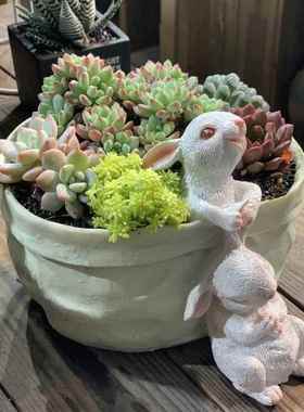 高档臻口袋小桌兔子花器多品肉花盆萌可爱装饰面摆件创意尚礼花园