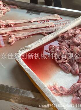 厂家直供全自动剖肠机鸡肠鱼肠蛏子海参剖切设备机身易清洗