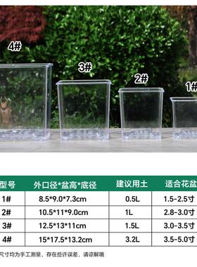 蝴蝶兰透明花盆蝴蝶兰花盆轻奢高级感方型大口径加高花卉种植盆