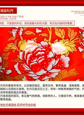 景德镇陶瓷器中国红色花瓶插花器家居客厅小瓷瓶摆件结婚装饰品