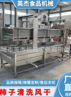 小柿子清洗风干流水全套净菜加工清洗流水线 果蔬清洗成套设备