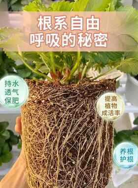 花卉营养土养花通用专用家用绿植盆栽种菜土壤有机泥炭花土