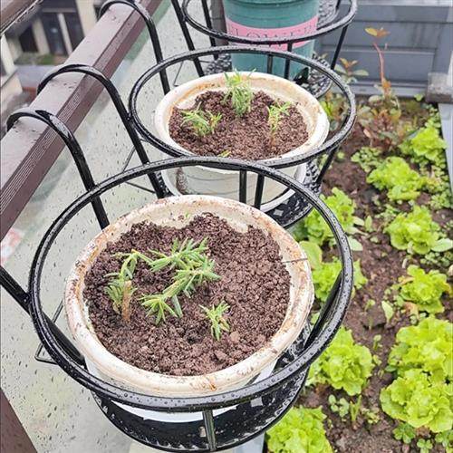栏杆多肉绿萝花架子室内置物架阳台花架家用铁艺悬挂式花盆挂架,淘宝优惠券,粉丝福利购,淘宝优惠卷
