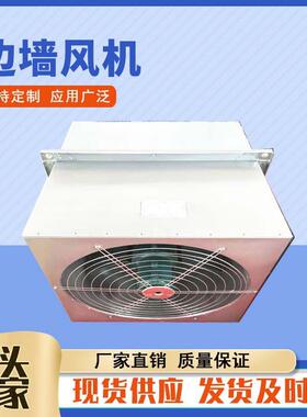 WEX-300D玻璃钢边墙风机工业型管道式边墙送风机轴流式边墙排风机