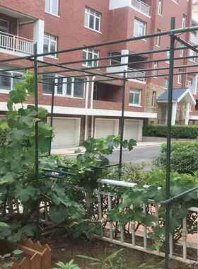 瓜棚架庭院豆角铁线莲子黄瓜子架种菜百外10270023香果户爬藤架葡